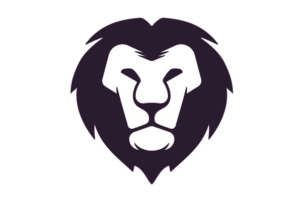 LionCoders