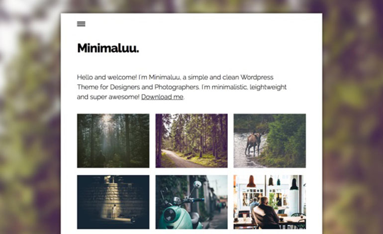 Minimaluu