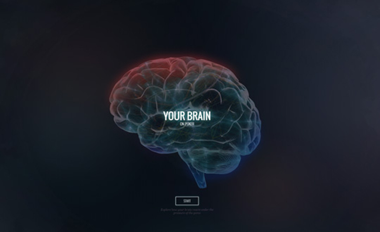 Your Brain On Poker