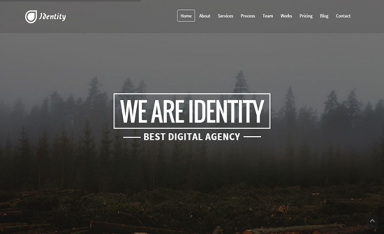 Identity Multi One Page Business WordPress Theme