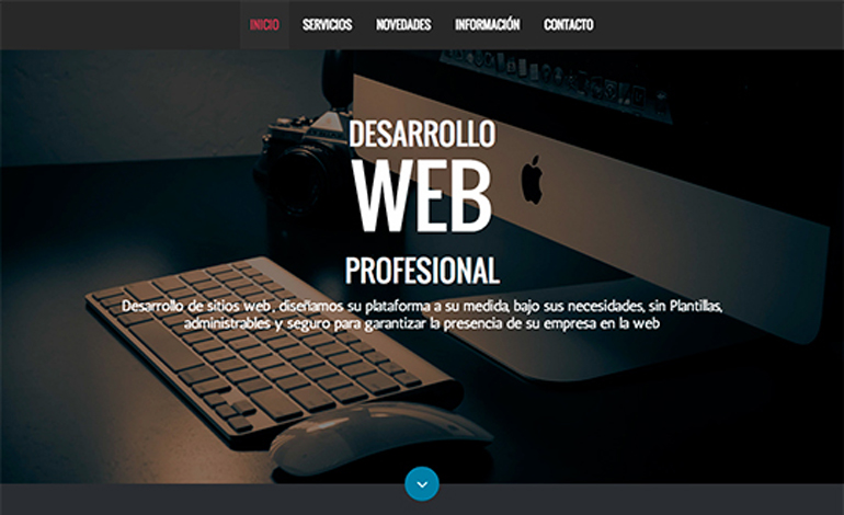 Desarrollo de sitios web