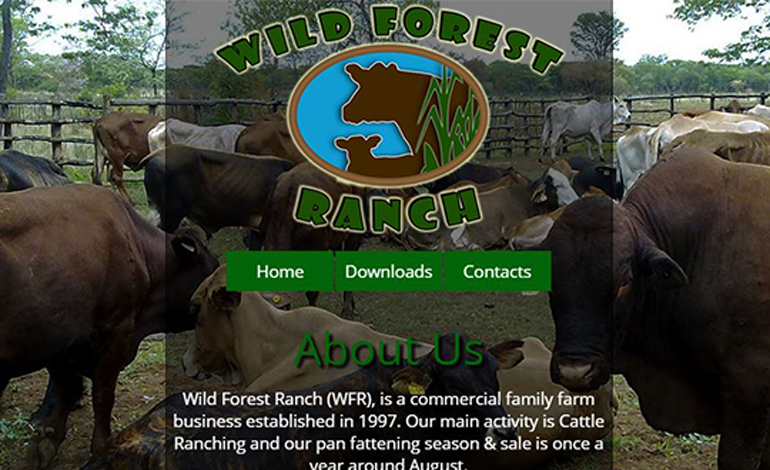 Wild Forest Ranch