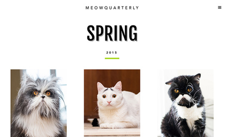 Meow Quarterly