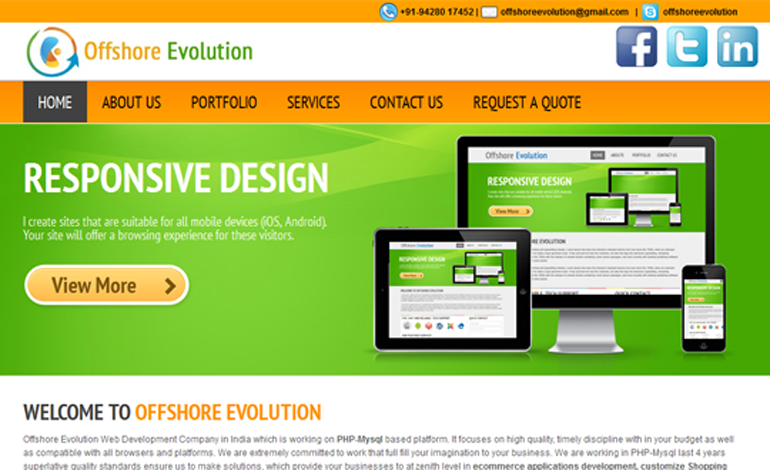 Web development service