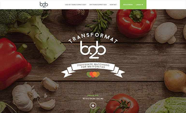 Transformat B2B