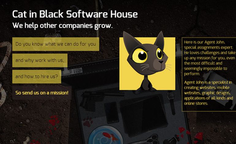 Cat In Black