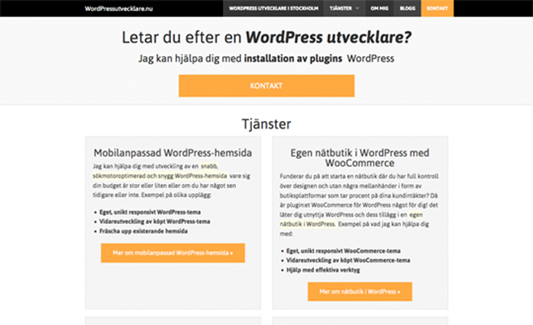 WordPress developer in Stockholm