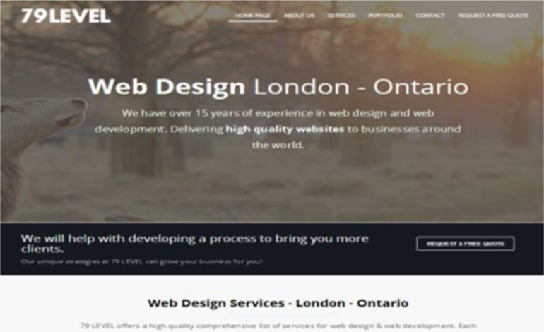 79 LEVEL Web Design