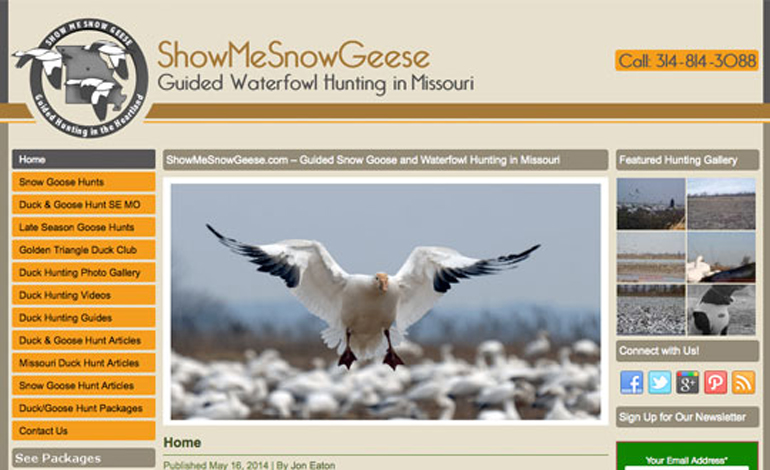 showmesnowgeese