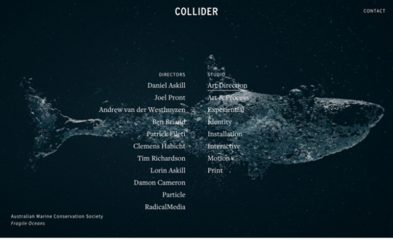 Collider