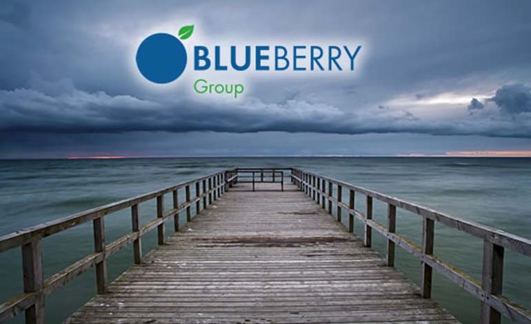 Blueberry Group