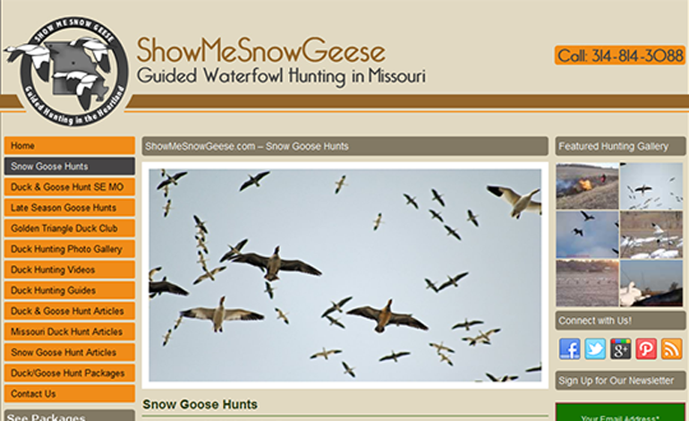 Snow Goose Hunts