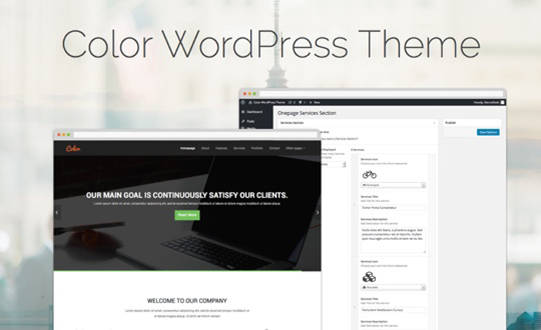 Color WordPress Theme