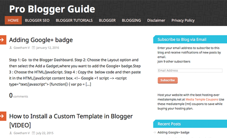 Pro Blogger Guide