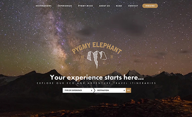Pygmy Elephant Travel Agency