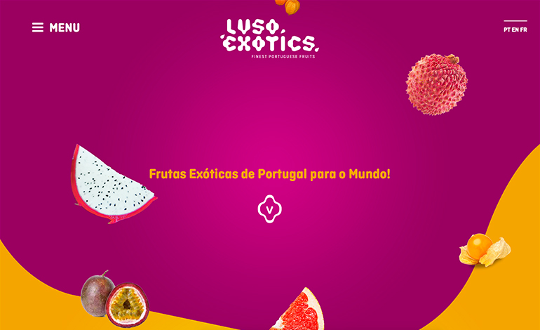 Lusoexotics