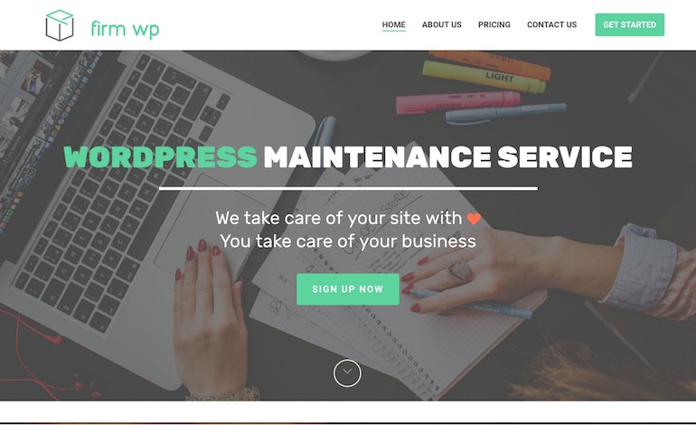 FIRM WP WordPress Maintenance Service