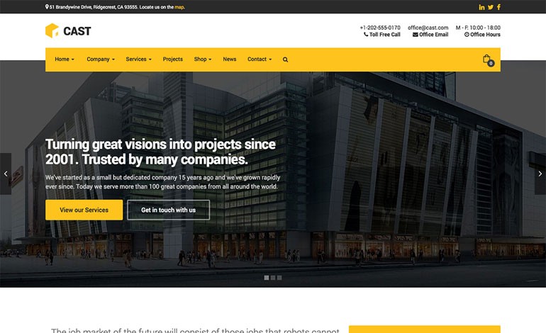 Cast Construction and Building WordPress Theme