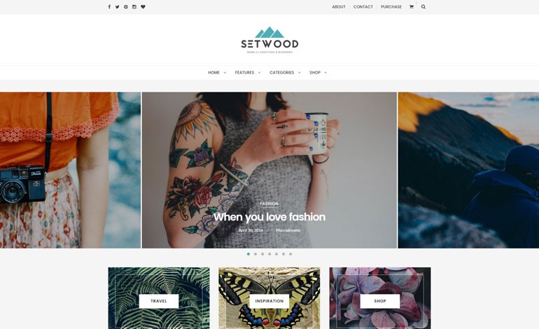Setwood Wordpress Blog and Shop Theme