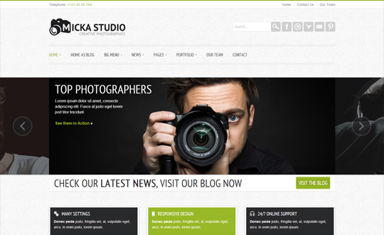 Micka a Responsive Blog Wordpress Theme