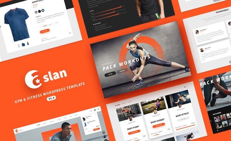 Aslan Modern Gym and Fitness Responsive WordPress Theme