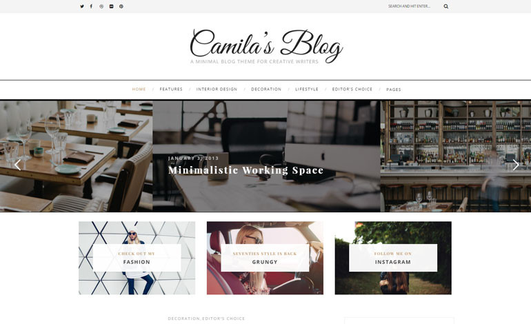 Camila  WordPress Blog Theme