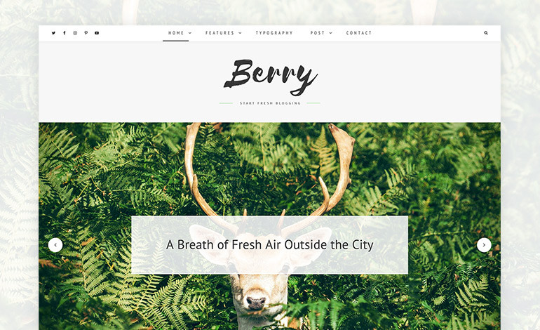 Berry A Fresh Personal Blog Theme