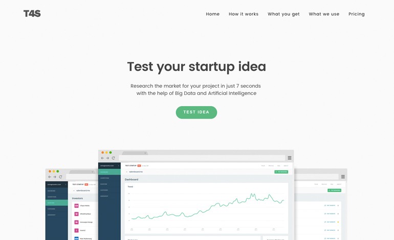 Test your startup idea