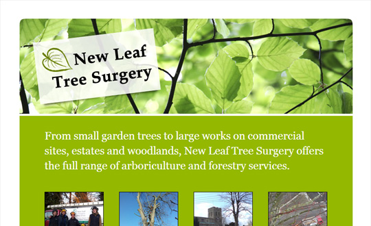 Oxford Tree Surgery