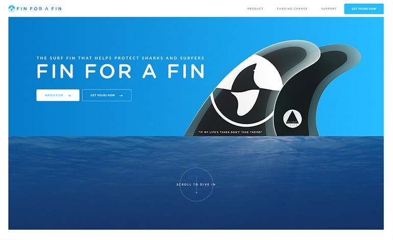 FIN FOR A FIN