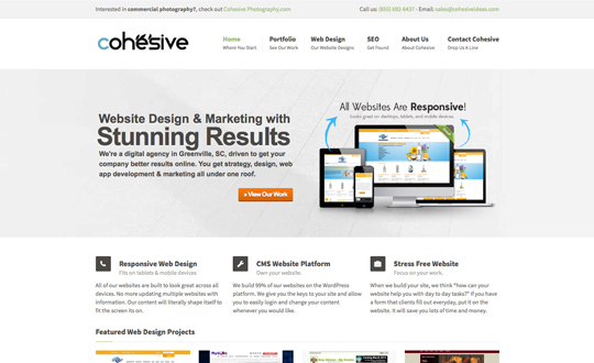 Cohesive Web Design