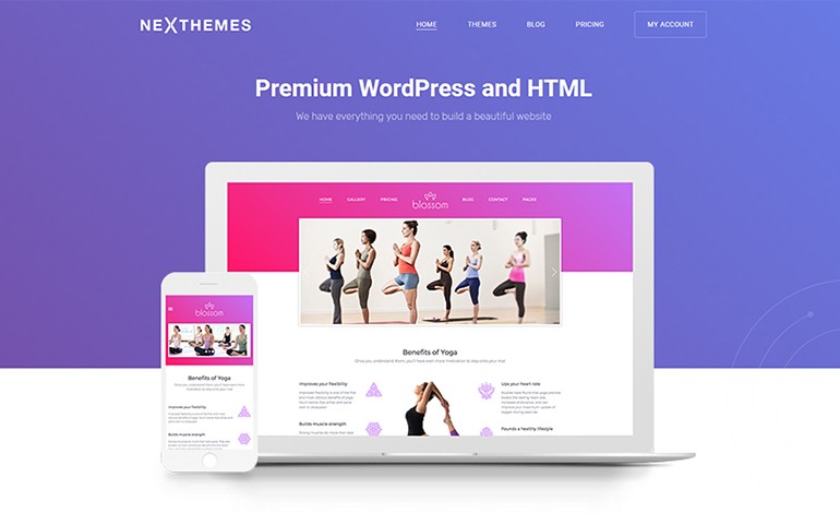 NexThemes