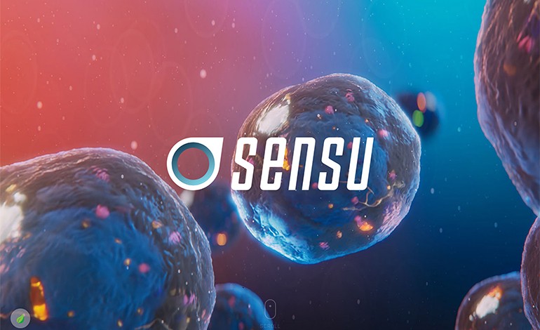 Sensu