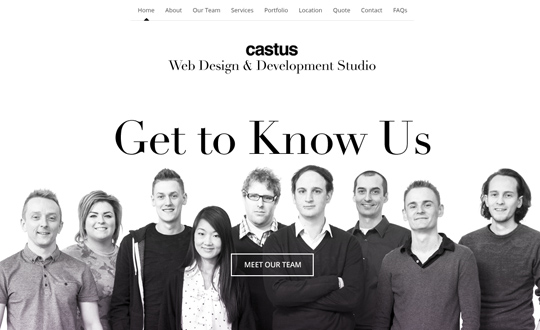 Castus Web Design