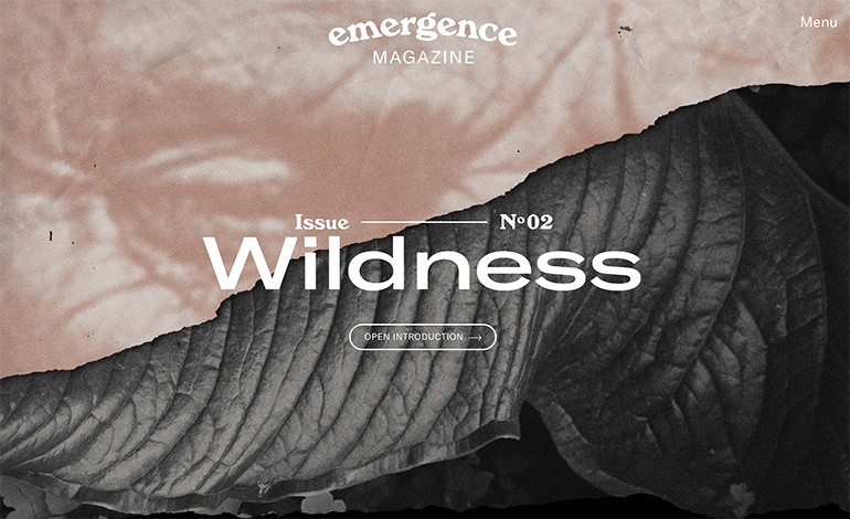 Emergence Magazine