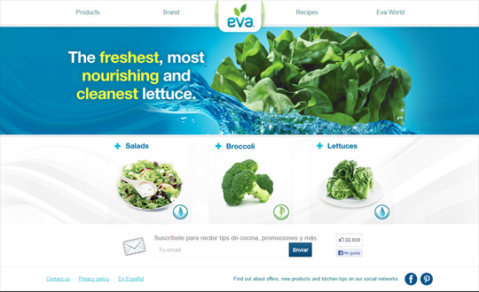 Eva Hydroponic Lettuces and Salads