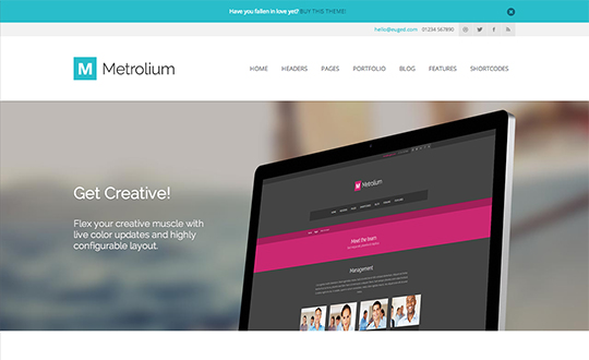 Metrolium Responsive Multi-Purpose WP Theme