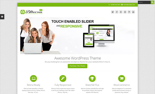 Alterna Multi-Purpose Responsive WordPress Theme