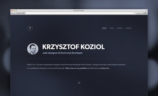 Krzysztof Koziol portfolio