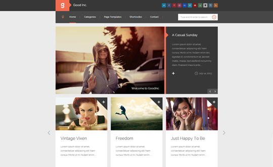 GoodInc WordPress Theme