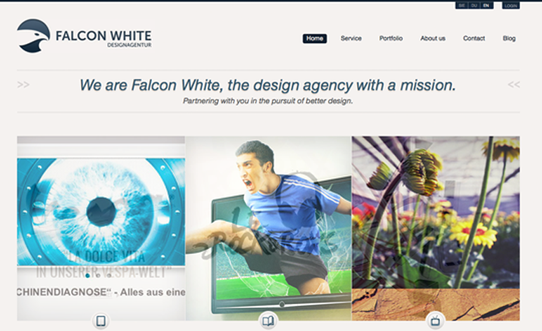 Falcon White