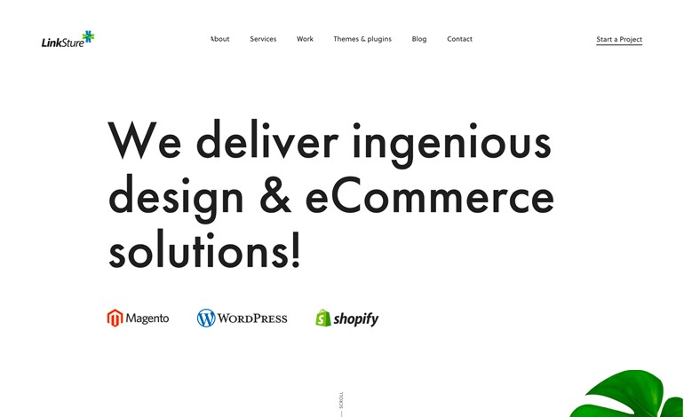 LinkSture eCommerce Agency