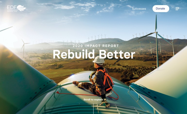 EDF 2020 Impact Report