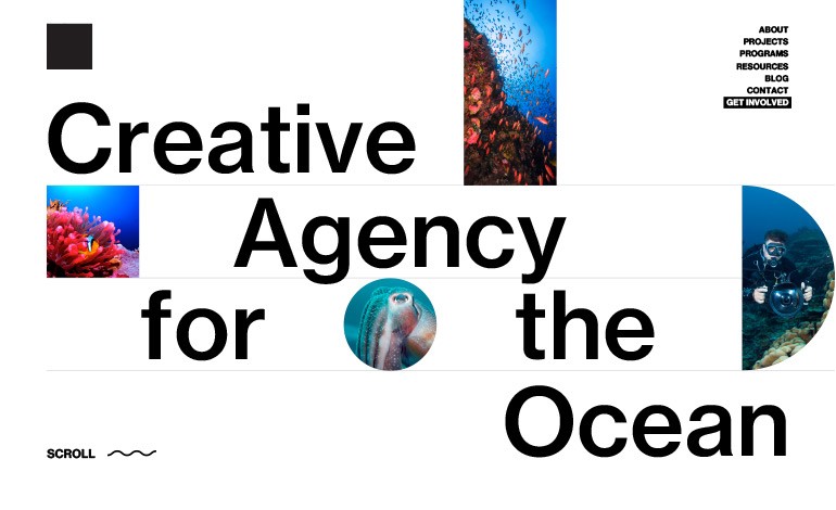 The Ocean Agency