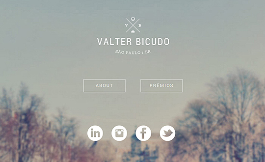 Valter Bicudo