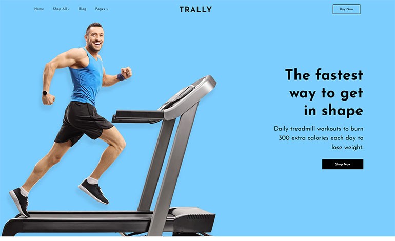Trally Single Product Shopify Theme