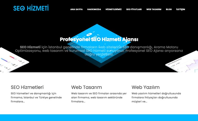 SEO Hizmeti