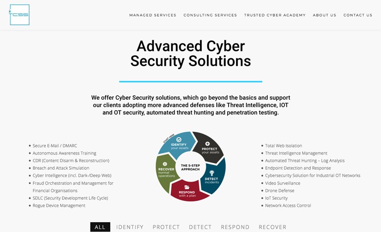 Cyber Security Services