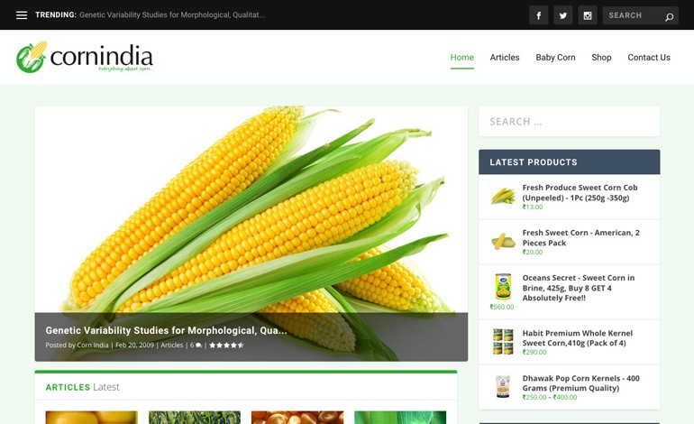 Corn India