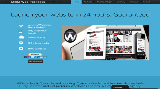 Mega Web Package